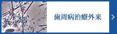 歯周病外来